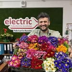 @electricsrl.ro